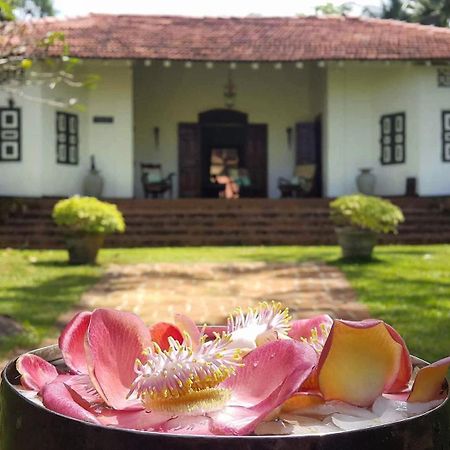 Templeberg Bed & Breakfast Walahanduwa Dış mekan fotoğraf